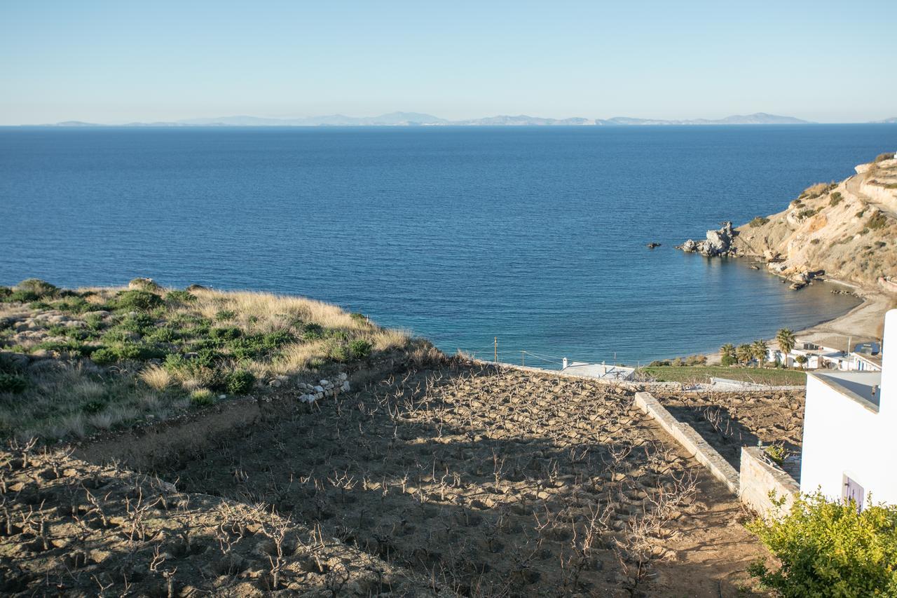 Villa Athina Ambrami Экстерьер фото